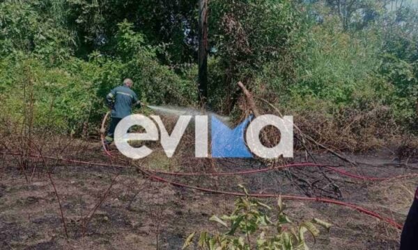 Φωτιά στο Μαντούδι Ευβοίας: Πυροσβεστικές δυνάμεις στο σημείο