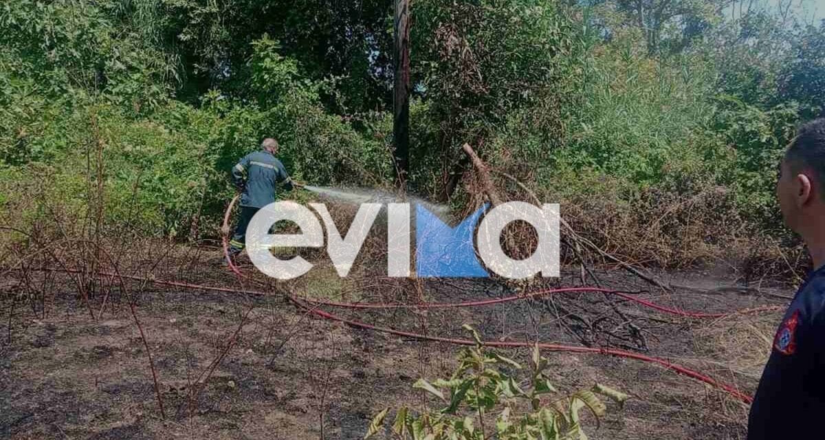 Φωτιά στο Μαντούδι Ευβοίας: Πυροσβεστικές δυνάμεις στο σημείο