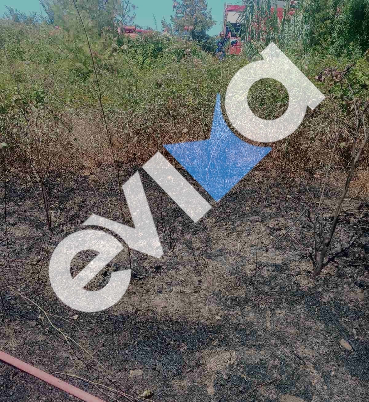 Φωτιά στο Μαντούδι Ευβοίας: Πυροσβεστικές δυνάμεις στο σημείο 7 Φωτιά στο Μαντούδι Ευβοίας: Πυροσβεστικές δυνάμεις στο σημείο