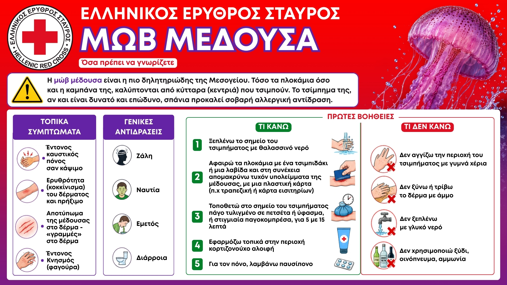 Μωβ μέδουσα: Τι να κάνετε αν σας τσιμπήσει και ποια συμπτώματα να προσέχετε