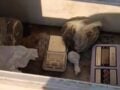 Ημαθία: 34χρονος έκανε το μνήμα συγγενή του κρυψώνα για ναρκωτικά