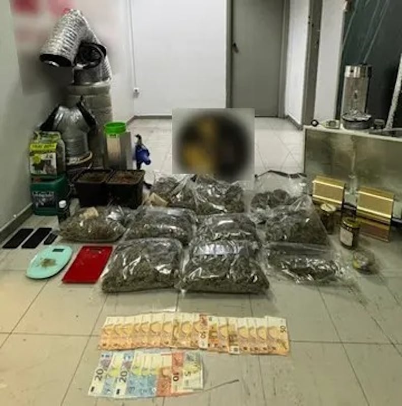 Κινέτα: Βρέθηκε εργαστήριο καλλιέργειας κάνναβης σε σπίτι, συνελήφθησαν δύο άντρες 7 ναρκωτικά