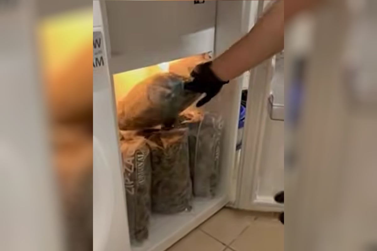 Κινέτα: Βρέθηκε εργαστήριο καλλιέργειας κάνναβης σε σπίτι, συνελήφθησαν δύο άντρες