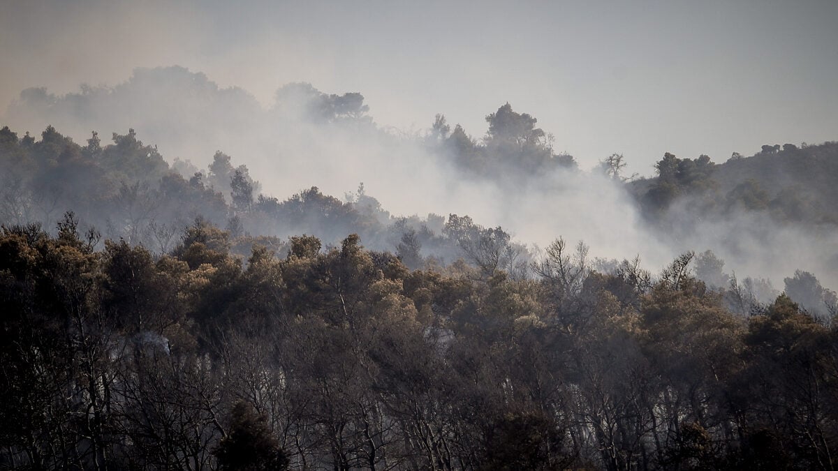 Η φωτιά στην Οινόη «δημιούργησε» τον δικό της καιρό – Το φαινόμενο που ανησύχησε τους ειδικούς 1 Η φωτιά στην Οινόη «δημιούργησε» τον δικό της καιρό – Το φαινόμενο που ανησύχησε τους ειδικούς