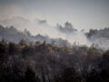 Η φωτιά στην Οινόη «δημιούργησε» τον δικό της καιρό – Το φαινόμενο που ανησύχησε τους ειδικούς
