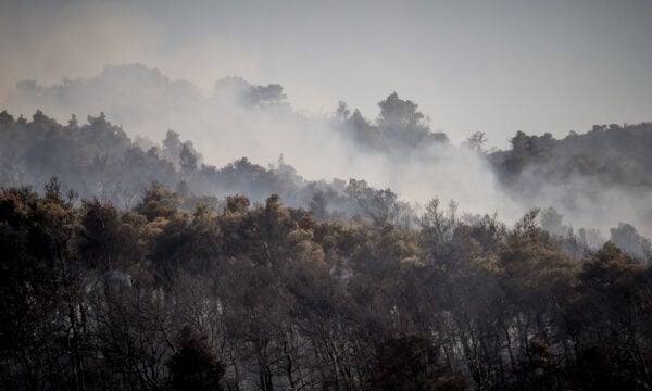 Η φωτιά στην Οινόη «δημιούργησε» τον δικό της καιρό – Το φαινόμενο που ανησύχησε τους ειδικούς