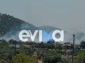 Φωτιά στο Αλιβέρι Εύβοιας: Ήχησε το 112 στην περιοχή Μηλάκι για ετοιμότητα