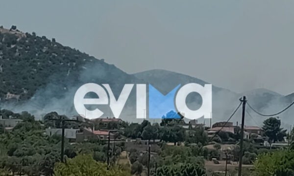 Φωτιά στο Αλιβέρι Εύβοιας: Ήχησε το 112 στην περιοχή Μηλάκι για «ετοιμότητα»