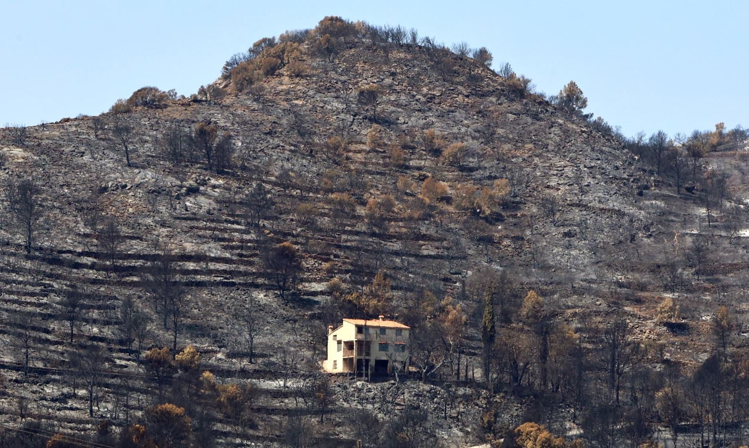 Κλιματική Κρίση: 20 φορές πιο πιθανές οι πυρκαγιές λόγω υπερθέρμανσης – ευρήματα 7 Ένα καμένο τοπίο κοντά στη Βίλα Βέγια, στην επαρχία Βαλένθια της Ισπανίας. Φωτογραφία: Damian Torres/AP