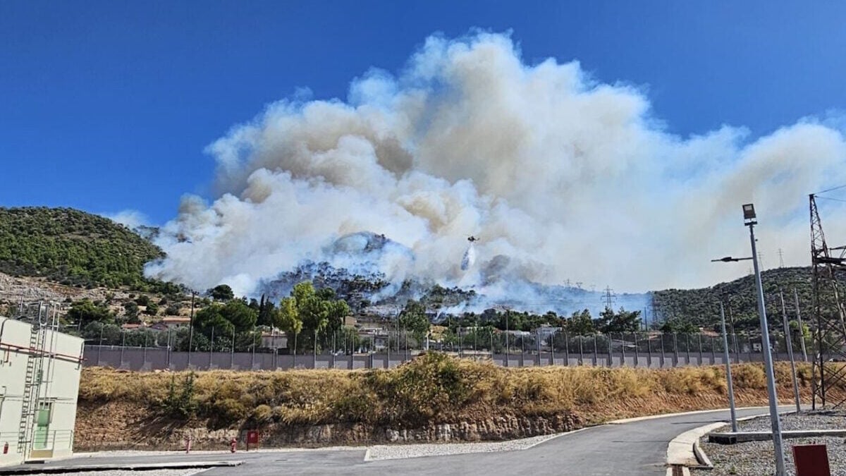 Φωτιά στην Περιφερειακή Αιγάλεω: Μήνυμα του 112 – Εκκενώνονται Άνω Δάσος και Αφαία Χαϊδαρίου 3 Φωτιά στην Περιφερειακή Αιγάλεω: Μήνυμα του 112 – Εκκενώνονται Άνω Δάσος και Αφαία Χαϊδαρίου