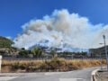 Φωτιά στην Περιφερειακή Αιγάλεω: Μήνυμα του 112 – Εκκενώνονται Άνω Δάσος και Αφαία Χαϊδαρίου