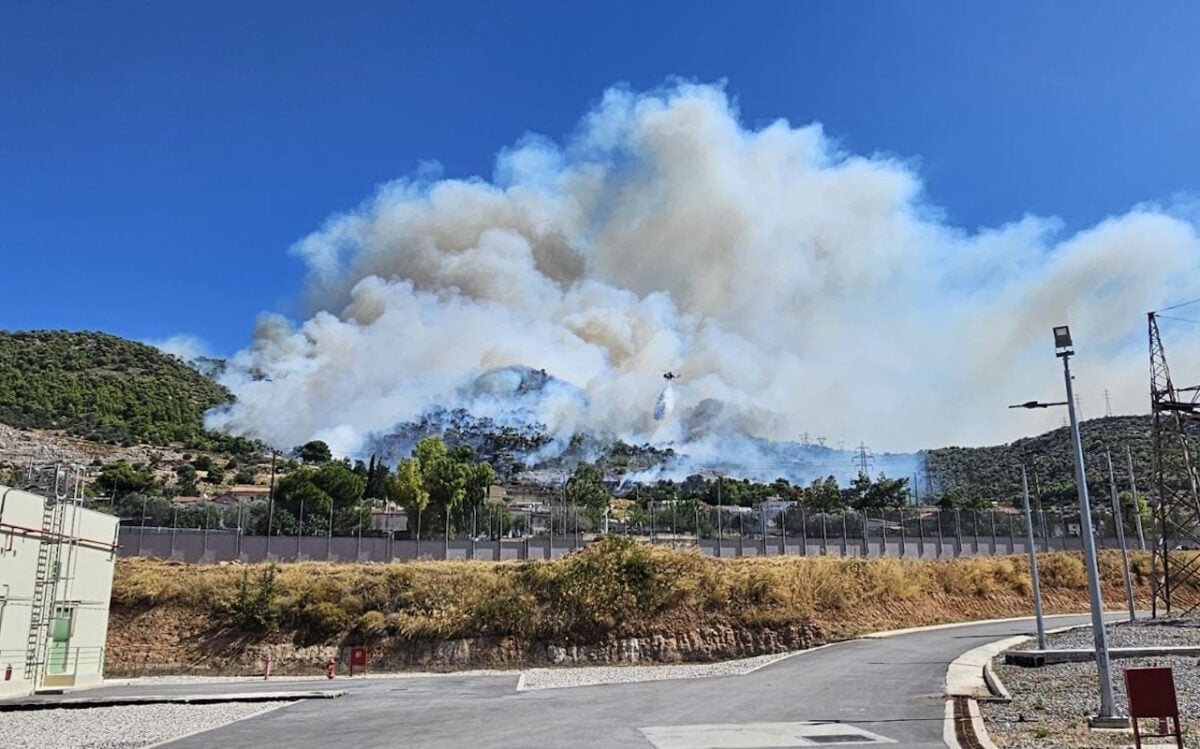 Φωτιά στην Περιφερειακή Αιγάλεω: Μήνυμα του 112 – Εκκενώνονται Άνω Δάσος και Αφαία Χαϊδαρίου