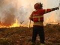 Πορτογαλία: Στους 9 οι τραυματίες από τις μεγάλες δασικές πυρκαγιές – Κόκκινος συναγερμός σε 18 περιφέρειες