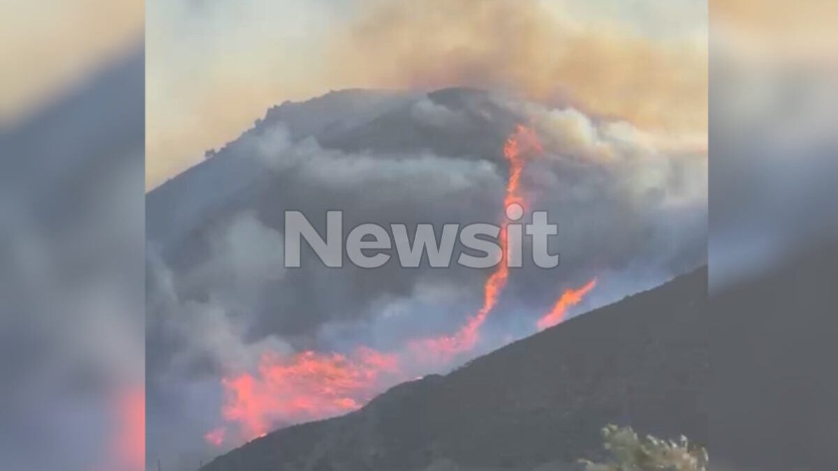 Στα όρια του τυφώνα οι άνεμοι μετατρέπουν σε πύρινη κόλαση το Ρέθυμνο: Συνεχίζουν οι φωτιές σε Πάρο, Άνδρο και Κάλυμνο – Live όλες οι εξελίξεις 1 Στα όρια του τυφώνα οι άνεμοι μετατρέπουν σε πύρινη κόλαση το Ρέθυμνο: Συνεχίζουν οι φωτιές σε Πάρο, Άνδρο και Κάλυμνο – Live όλες οι εξελίξεις
