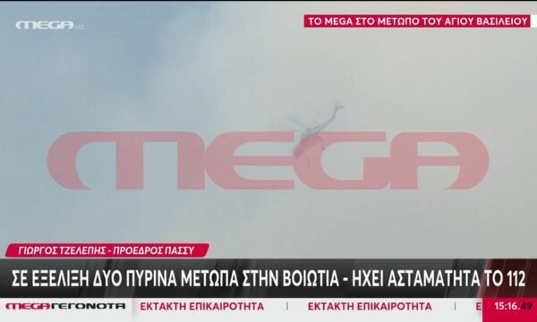 Αγ. Βασίλειος Βοιωτίας – Γ. Τζελέπης: «Οι θυελλώδεις άνεμοι δυσκολεύουν την κατάσβεση»