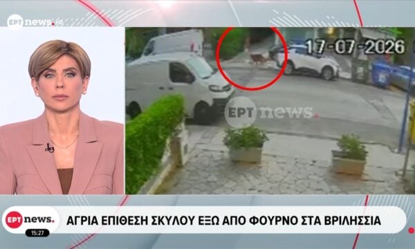 Άγρια επίθεση σκύλου έξω από φούρνο στα Βριλήσσια