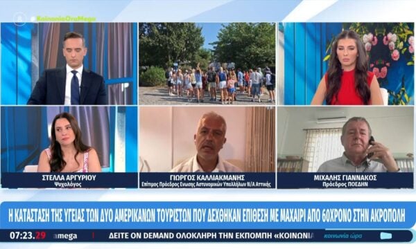 Ακρόπολη – Το ποινικό παρελθόν του 60χρονου: Έμπαινε σε ψυχιατρικά ιδρύματα αλλά εξακολουθούσε να κυκλοφορεί ελεύθερος