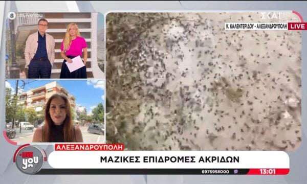 Αλεξανδρούπολη: Μαζικές επιδρομές ακρίδων