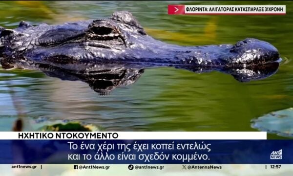Αλιγάτορας κατασπάραξε 31χρονη στη Φλόριντα