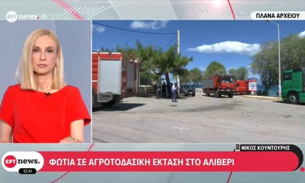 Αλιβέρι Ευβοίας: Φωτιά σε αγροτοδασική έκταση – Μήνυμα από το 112