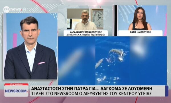 Αναστάτωση στην Πάτρα για δάγκωμα… σε λουόμενη