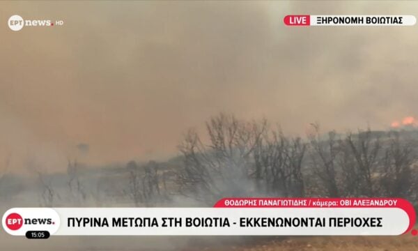 Ανεξέλεγκτα τα μέτωπα στην Βοιωτία
