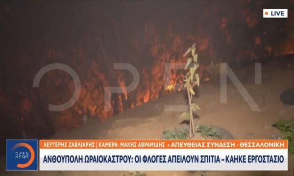 Ανθούπολη Ωραιοκάστρου: Οι φλόγες απειλούν σπίτια – Κάηκε εργοστάσιο