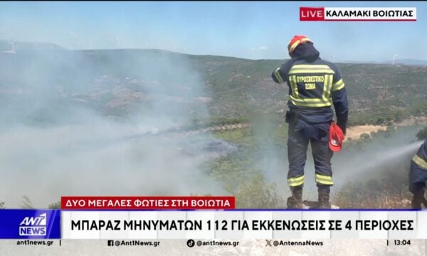 Αντιμέτωποι με νέα πύρινα μέτωπα οι πυροσβέστες μας