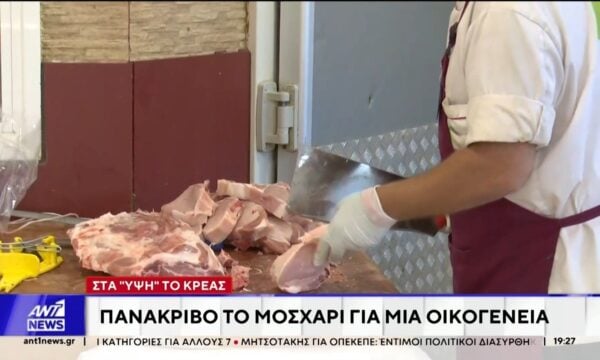 Απλησίαστο, έχει γίνει για μια οικογένεια το μοσχάρι