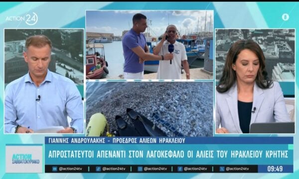 Απροστάτευτοι οι αλίεις απέναντι στους λαγοκέφαλους – Τι ζητούν