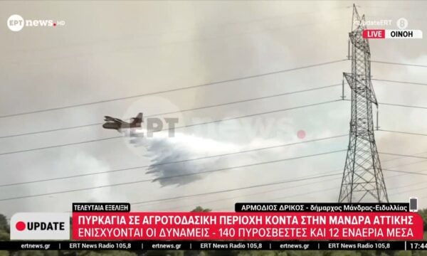 Αρμόδιος Δρίκος, δήμαρχος Μάνδρας – Ειδυλλίας: Καταφέραμε να σώσουμε τα σπίτια από την πυρκαγιά