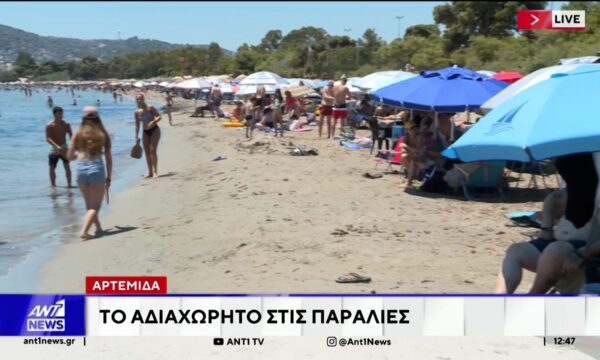 Αρτέμιδα: Το αδιαχώρητο στις παραλίες
