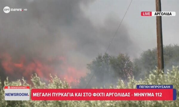 ΑΣε εξέλιξη η πυρκαγιά στο Φίχτι Αργολίδας – Μήνυμα από 112 για απομάκρυνση προς Άργος