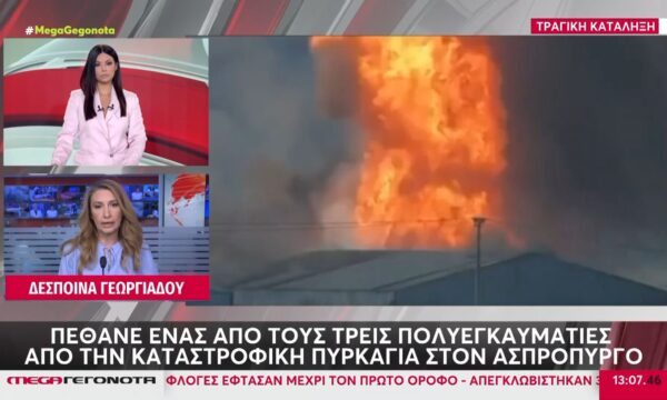 Ασπρόπυργος: Κατέληξε ο 54χρονος εγκαυματίας από την καταστροφική πυρκαγιά