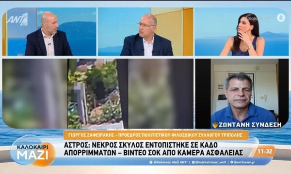 Άστρος: Νεκρός σκύλος εντοπίστηκε σε κάδο απορριμάτων – Καλοκαίρι Μαζί – 29/07/2026