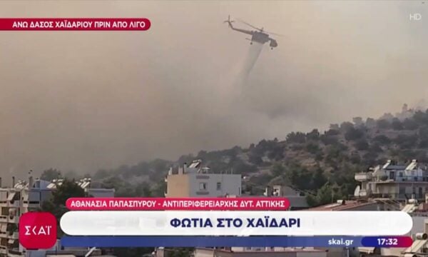 Αθανασία Παπασπύρου αντιπεριφερειάρχης Δυτ. Αττικής για την φωτιά στο Χαϊδάρι