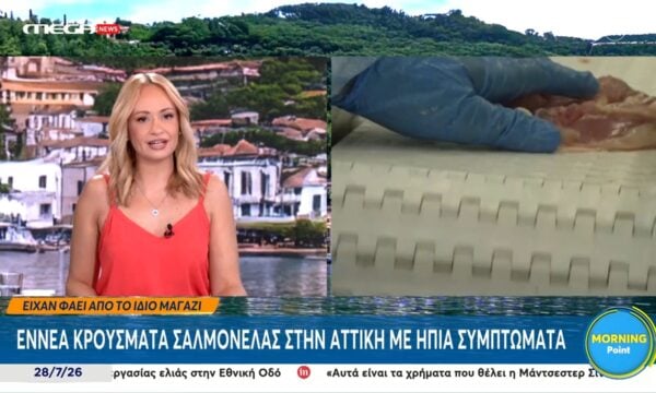 Αττική: Εννέα κρούσματα σαλμονέλας εκ των οποίων δύο παιδιά – Ήπια τα συμπτώματα των ασθενών