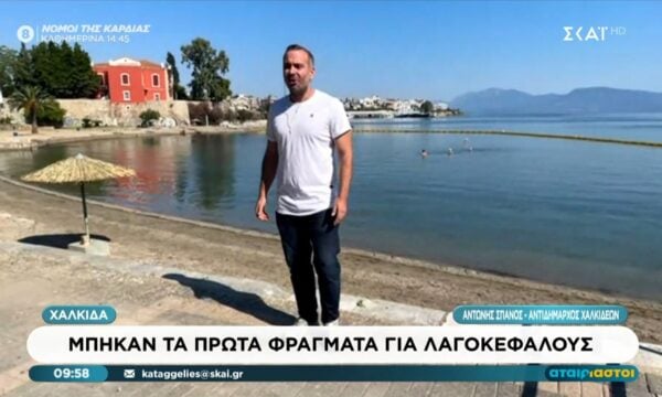 Χαλκίδα | Μπήκαν τα φράγματα για λαγοκέφαλους