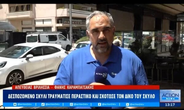 Δεσποζόμενο σκυλί τραυμάτισε περαστικό και σκότωσε τον δικό του σκύλο