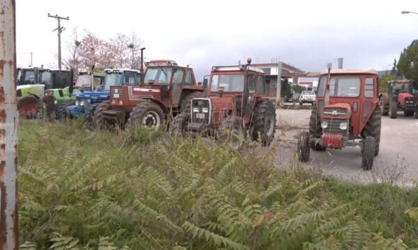 Δικαίωση για τους παραγωγούς μηδικής Φθιώτιδας- Εξασφαλίστηκαν πρόσθετες πιστώσεις