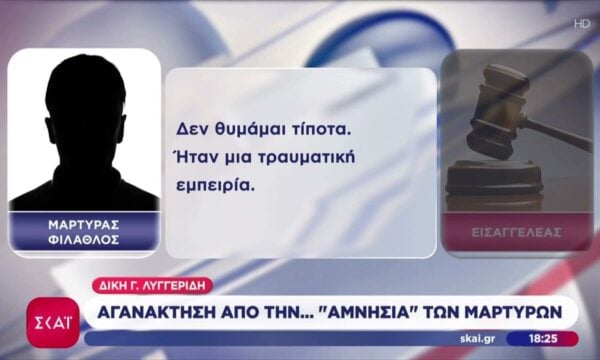 Δίκη Λυγγερίδη: Αγανάκτηση από την «αμνησία» των μαρτύρων