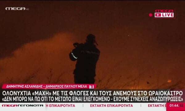 Δήμαρχος Παύλου Μελά: «Δεν μπορώ να πω ότι είναι ελεγχόμενο το μέτωπο»