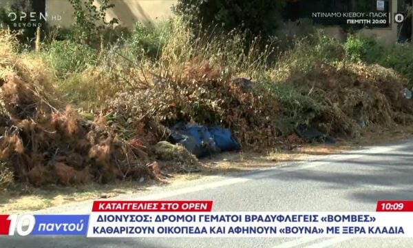 Διόνυσος: Δρόμοι γεμάτοι βραδυφλεγείς «βόμβες» – Καθαρίζουν οικόπεδα και αφήνουν «βουνά» με ξερά κλαδιά