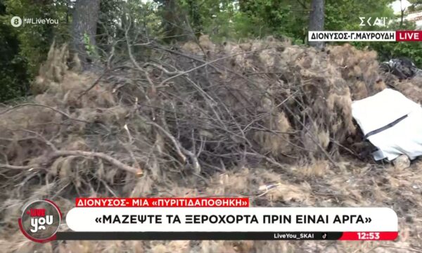 Διόνυσος | Κίνδυνος πυρκαγιάς από ακαθάριστα