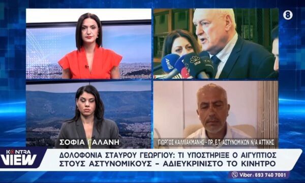 Δολοφονία Σταύρου Γεωργίου: Τι υποστήριξε ο Αιγύπτιος στους αστυνομικούς – Αδιευκρίνιστο το κίνητρο