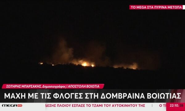 Δομβραίνα Βοιωτίας: Αναζωπύρωση της φωτιάς