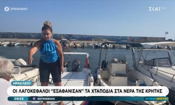 Δύσκολο το ρεπορτάζ για τους λαγοκέφαλους: «Μη γίνουμε viral»