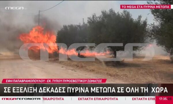Ε. Παπαβραμοπούλου, εκπρ. Τύπου ΠΣ: Αυτά είναι τα ανησυχητικά μέτωπα