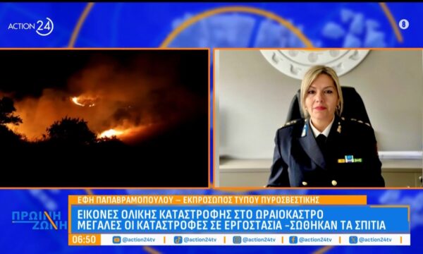 Εικόνες καταστροφής στο Ωραιόκαστρο: «154 συλλήψεις για φωτιές από την αρχή του χρόνου, οι 151 από αμέλεια»