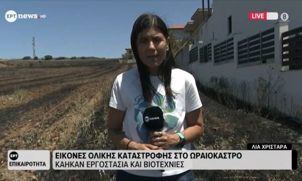 Εικόνες ολικής καταστροφής στο Ωραιόκαστρο – Κάηκαν εργοστάσια και βιοτεχνίες
